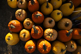 240920 Falloween 003