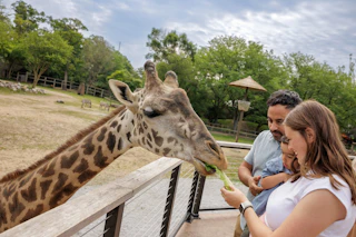 Giraffe Cover Shot 004 Visit20 South20 Bend20 Mishawaka