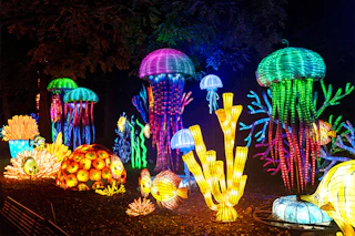 Zoo Luminate Newsletter