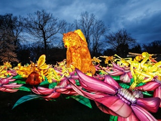 Zoo Luminate Bear and flowers