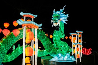Zoo Luminate Dragon