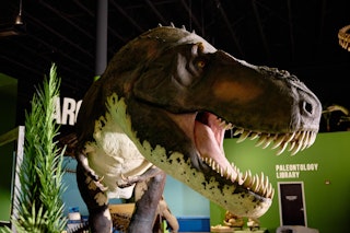 T-Rex at IDM