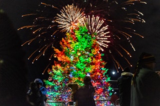 Christmas Tree Lighting