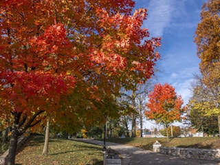 Fall at Beutter Park in Mishawaka