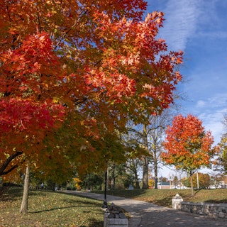 Fall at Beutter Park in Mishawaka