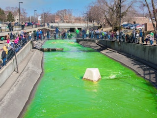 The greening of the East Race Waterway is an annual tradition in downtown South Bend