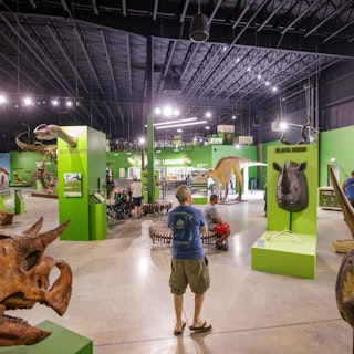 Indiana Dinosaur Museum