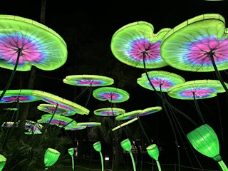 Zoo Luminate Lotus Leaves