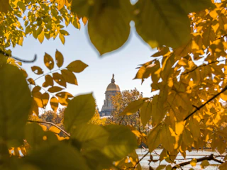 Fall at Notre Dame