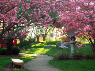 Shiojiri Niwa Japanese Gardens