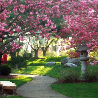 Shiojiri Niwa Japanese Gardens