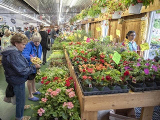 Spring Farmers Martet