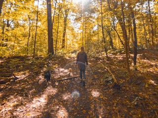 A visitor walks her dogs on a trail at Rum Village Nature Preserve