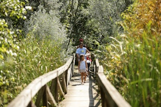 Potato creek 3 9362a856 1120 466d 999d 7de633f399c5