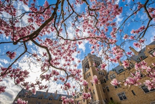 4 15 15 SMC Scenic 3