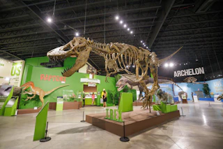 Indiana Dinosaur Museum skeleton