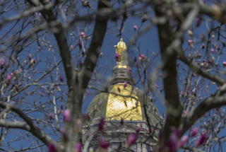 University of Notre Dame's Golden Dome visible through pink spring blossoms.