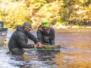 Fall Fishing