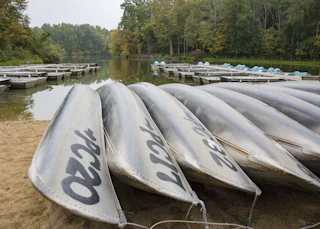 Potato Creek State Park