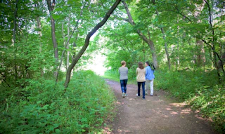 People hiking at St. Patricks County Park